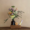 Violet Lands Flower Jar Gift Set