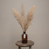 Pampas Grass Jar